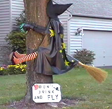 8 hours from a bottle to the throttle